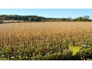 Property photo 52 - 1,153 +/- Acres offered in 15 TractsLAND AUCTION